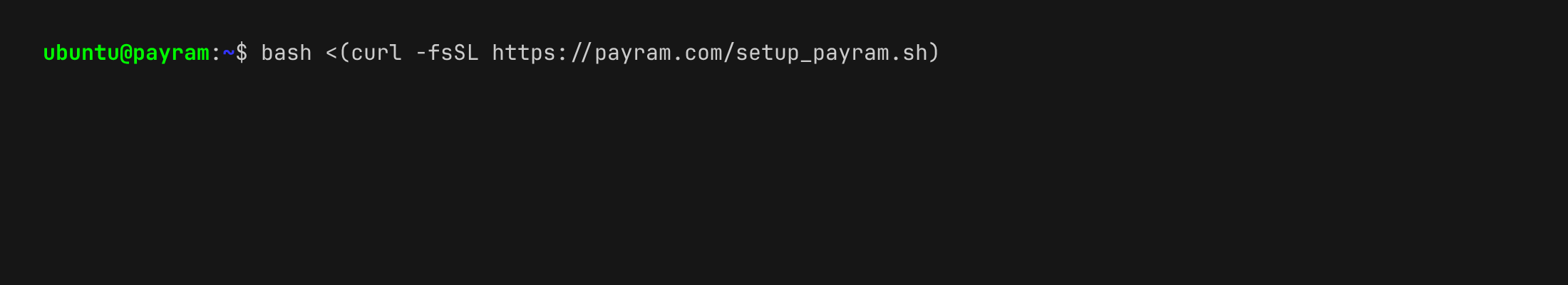 Running the PayRam install command in the terminal