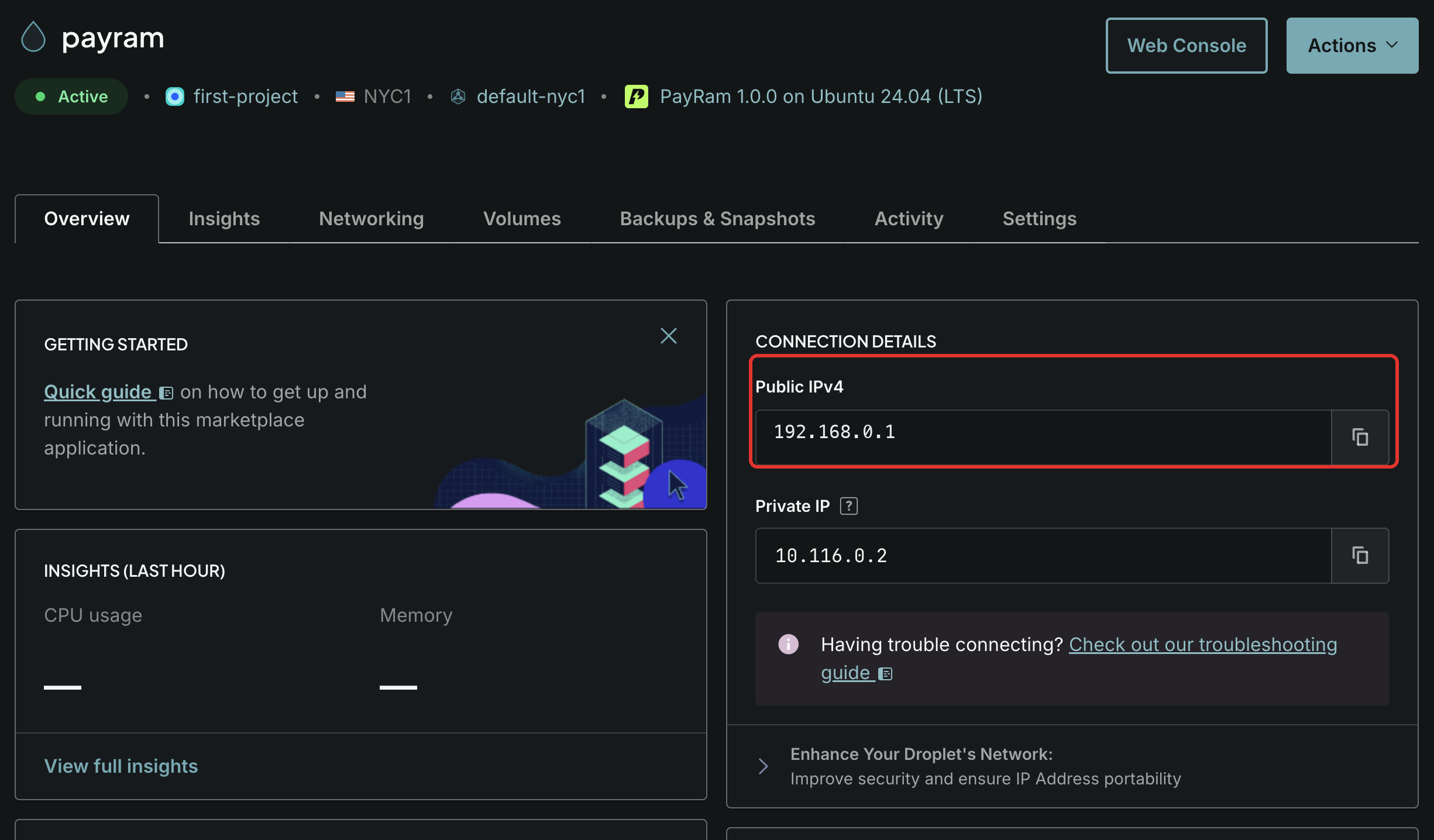 The active droplet showing its public IPv4 address